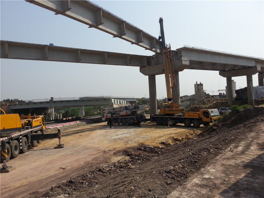 成自泸高速公路建设项目